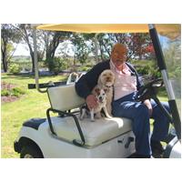 John and the dogs