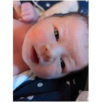 Jude